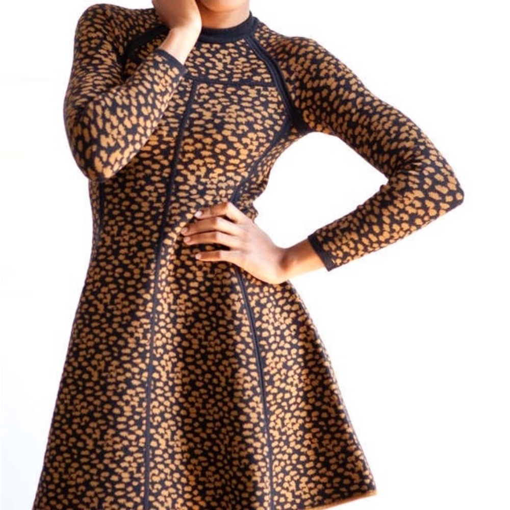 A.L.C. Black and Tan Long Sleeve Dress
